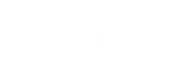 BrainHubAi logo